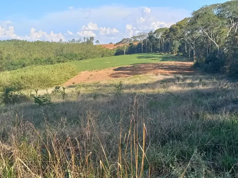 Fazenda em Itaguara/Minas Gerais — Ref V4RGS6 — Imagem 8