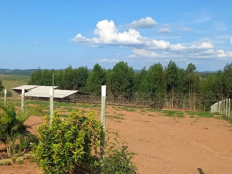 Fazenda em Itaguara/Minas Gerais — Ref V4RGS6 — Imagem 9
