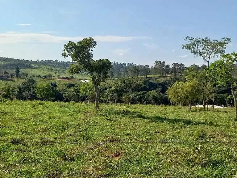 Fazenda em Itaguara/Minas Gerais — Ref V4RGS6 — Imagem 7