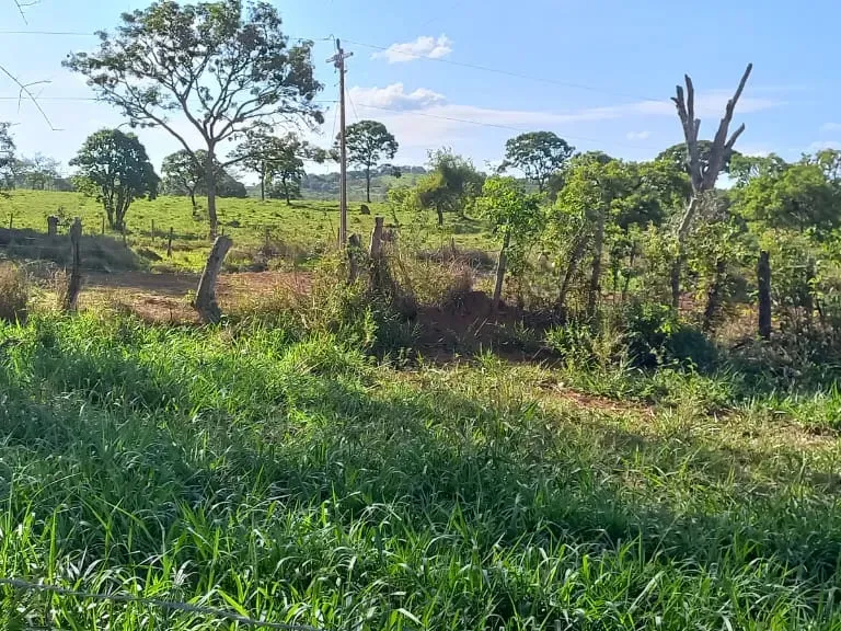 Fazenda em Itaguara/Minas Gerais — Ref V4RGS6 — Imagem 26