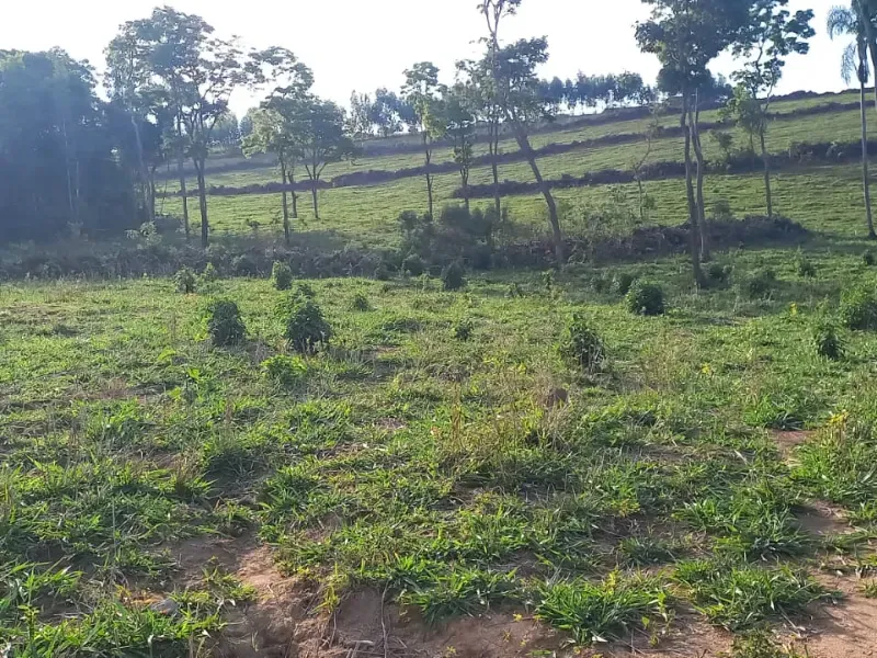 Fazenda em Itaguara/Minas Gerais — Ref V4RGS6 — Imagem 32