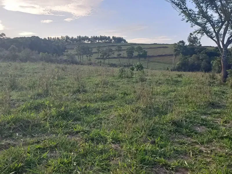 Fazenda em Itaguara/Minas Gerais — Ref V4RGS6 — Imagem 34