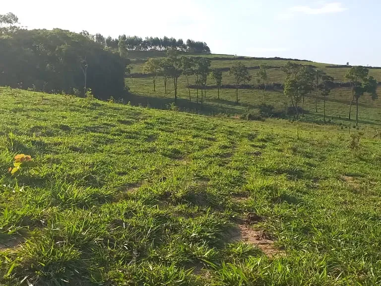 Fazenda em Itaguara/Minas Gerais — Ref V4RGS6 — Imagem 36