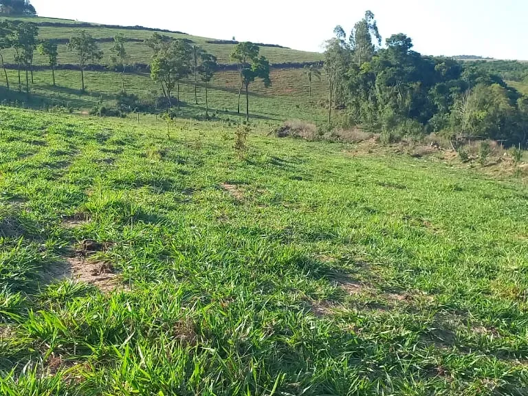Fazenda em Itaguara/Minas Gerais — Ref V4RGS6 — Imagem 37