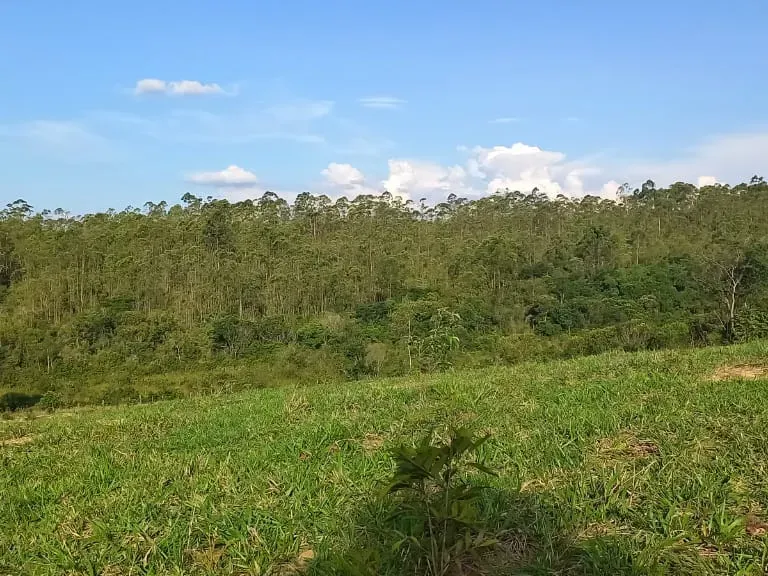 Fazenda em Itaguara/Minas Gerais — Ref V4RGS6 — Imagem 38