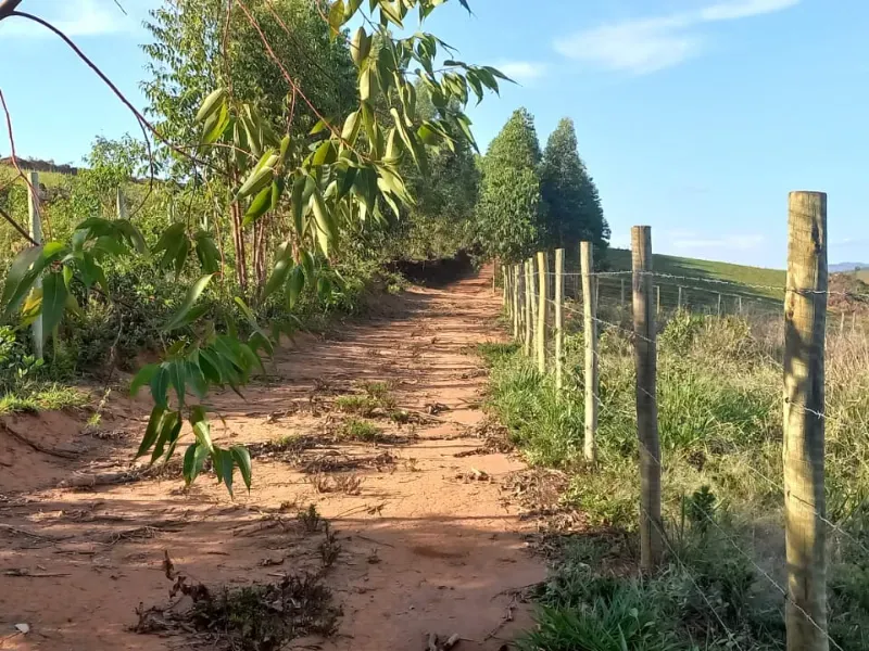 Fazenda em Itaguara/Minas Gerais — Ref V4RGS6 — Imagem 45