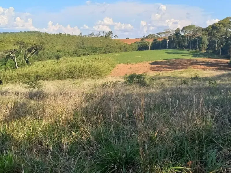 Fazenda em Itaguara/Minas Gerais — Ref V4RGS6 — Imagem 41