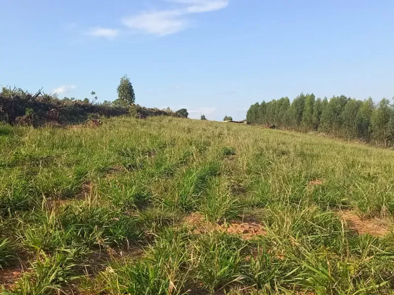 Fazenda em Itaguara/Minas Gerais — Ref V4RGS6 — Imagem 42