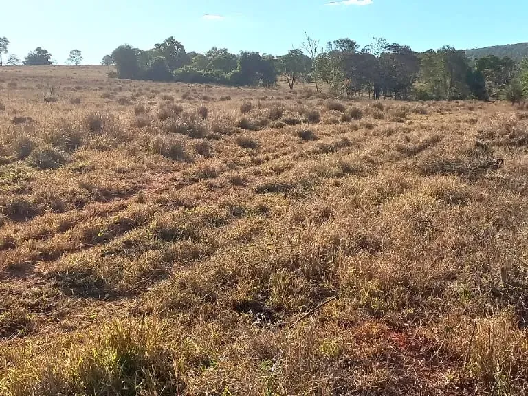 Fazenda em Pará de Minas/Minas Gerais — Ref UO2N10 — Imagem 2