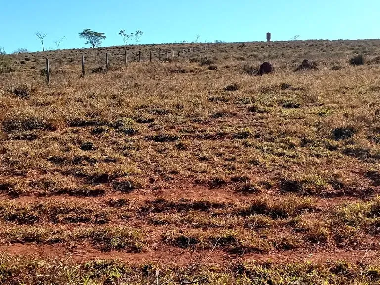 Fazenda em Pará de Minas/Minas Gerais — Ref UO2N10 — Imagem 3