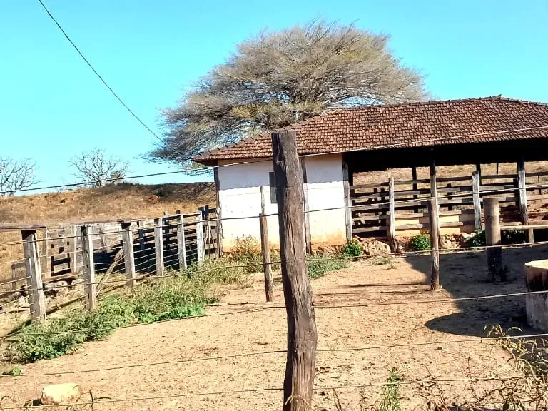 Fazenda em Pará de Minas/Minas Gerais — Ref UO2N10 — Imagem 10
