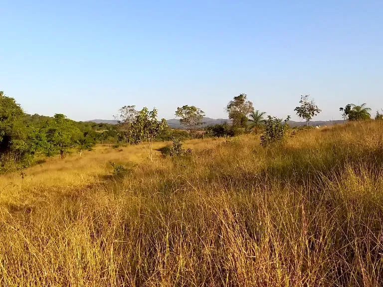 Fazenda em Pará de Minas/Minas Gerais — Ref UO2N10 — Imagem 5