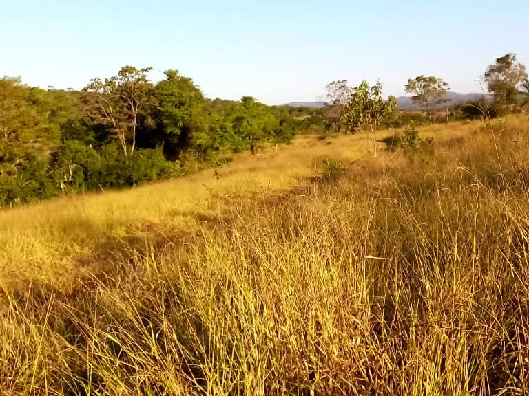 Fazenda em Pará de Minas/Minas Gerais — Ref UO2N10 — Imagem 6