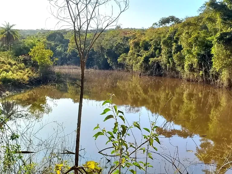 Fazenda em Pará de Minas/Minas Gerais — Ref UO2N10 — Imagem 17