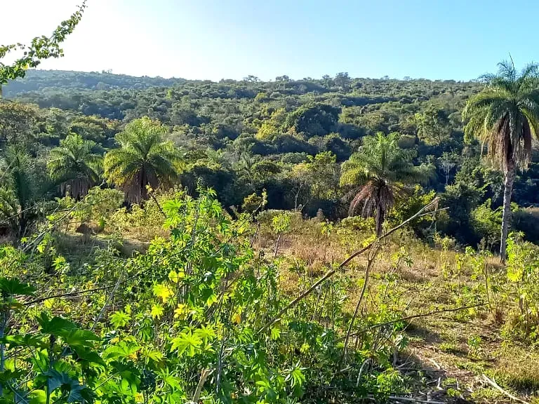 Fazenda em Pará de Minas/Minas Gerais — Ref UO2N10 — Imagem 25