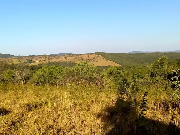 Fazenda em Pará de Minas/Minas Gerais — Ref UO2N10 — Imagem 7