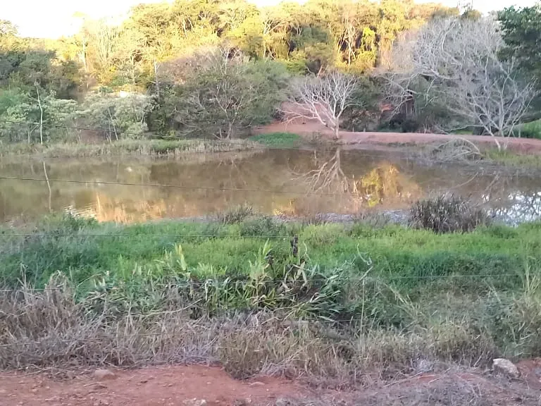 Fazenda em Pará de Minas/Minas Gerais — Ref UO2N10 — Imagem 22