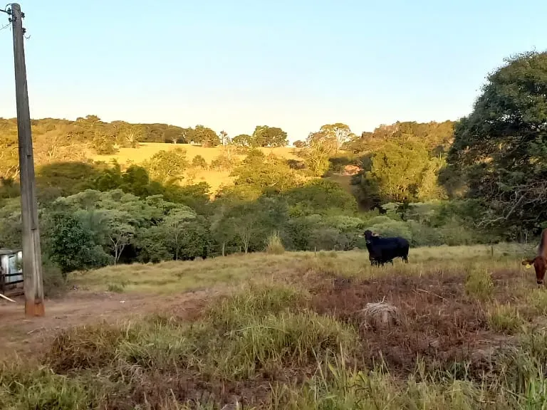 Fazenda em Pará de Minas/Minas Gerais — Ref UO2N10 — Imagem 14