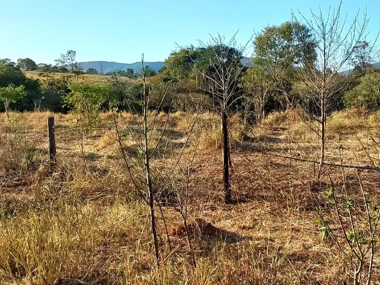 Fazenda em Pará de Minas/Minas Gerais — Ref UO2N10 — Imagem 16