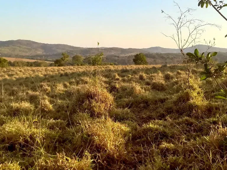Imóvel rural em Pará de Minas/Minas Gerais — Ref UO2N101
