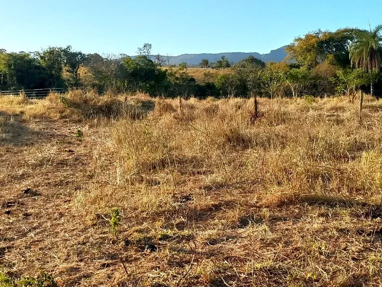 Fazenda em Pará de Minas/Minas Gerais — Ref UO2N10 — Imagem 24