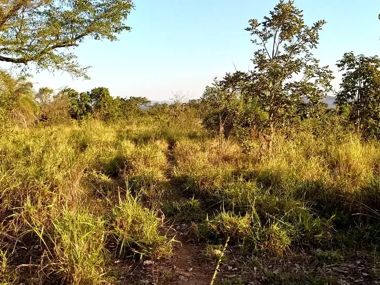 Fazenda em Pará de Minas/Minas Gerais — Ref UO2N10 — Imagem 28