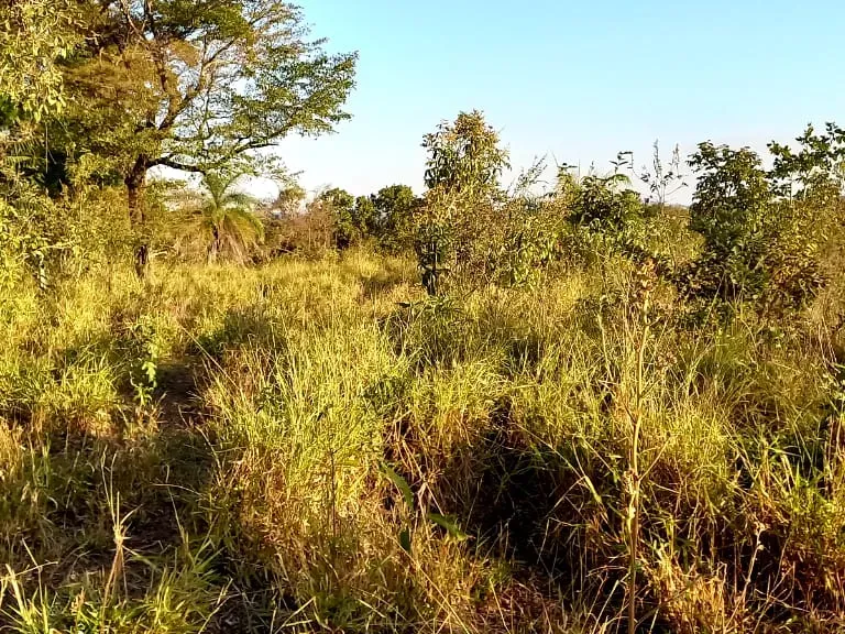 Fazenda em Pará de Minas/Minas Gerais — Ref UO2N10 — Imagem 29