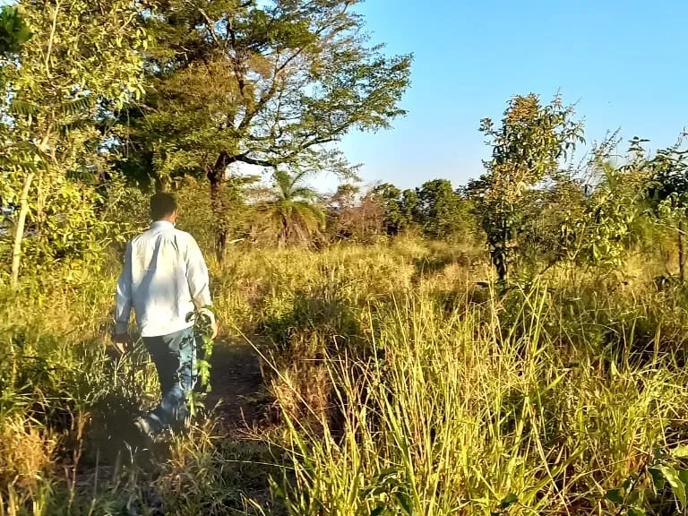 Fazenda em Pará de Minas/Minas Gerais — Ref UO2N10 — Imagem 30