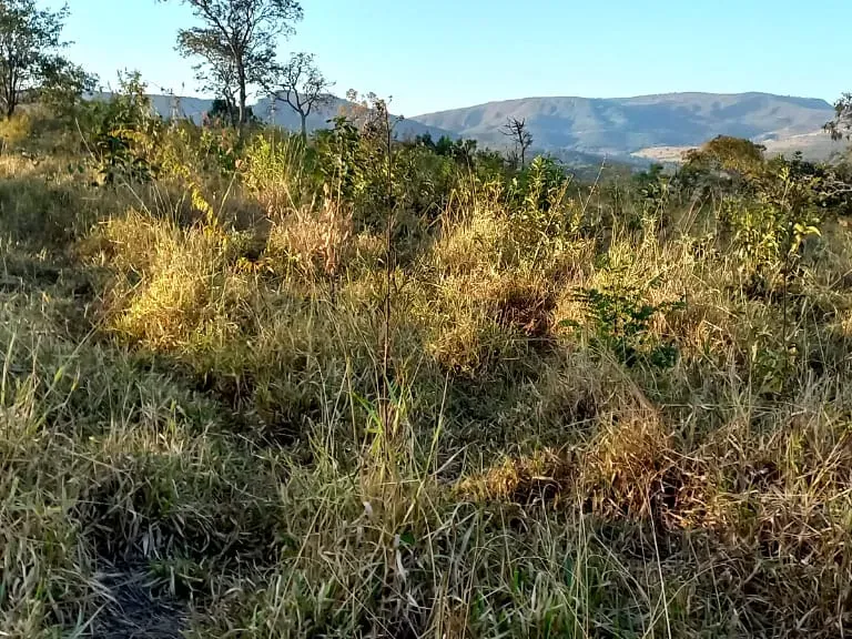 Fazenda em Pará de Minas/Minas Gerais — Ref UO2N10 — Imagem 31