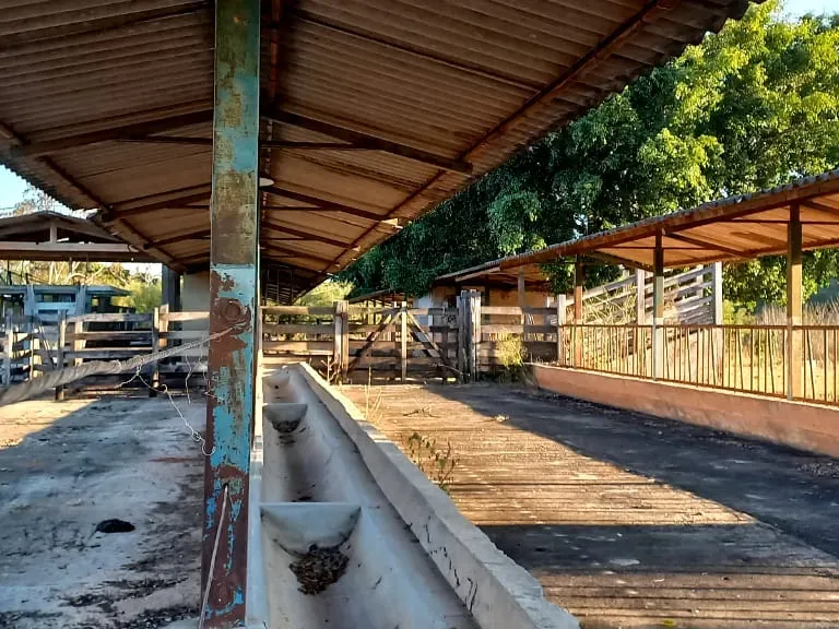 Fazenda em Pará de Minas/Minas Gerais — Ref UO2N10 — Imagem 13
