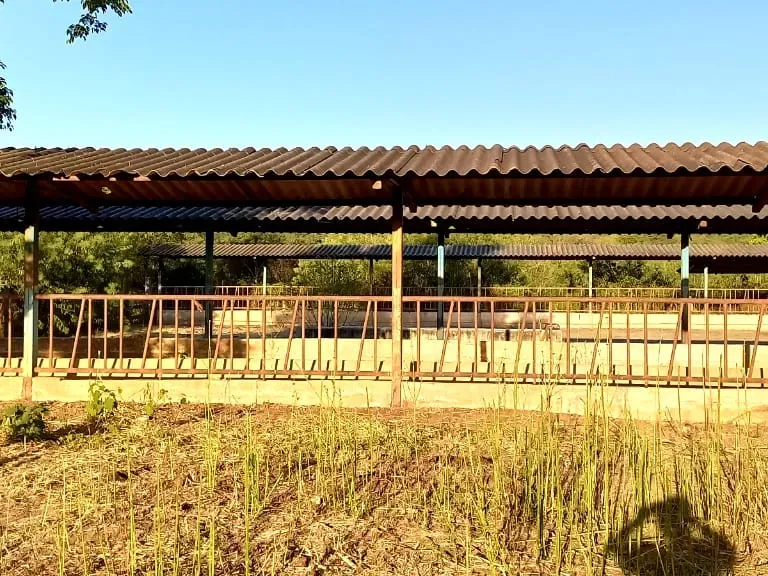 Fazenda em Pará de Minas/Minas Gerais — Ref UO2N10 — Imagem 11