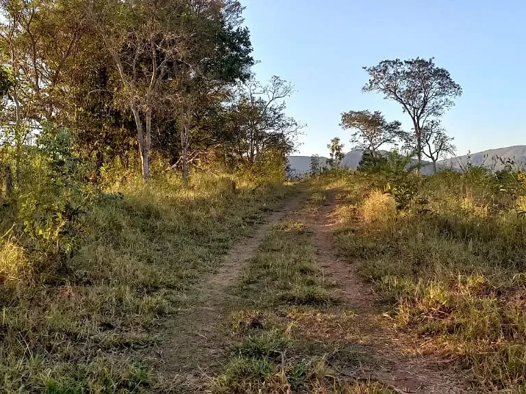 Fazenda em Pará de Minas/Minas Gerais — Ref UO2N10 — Imagem 33