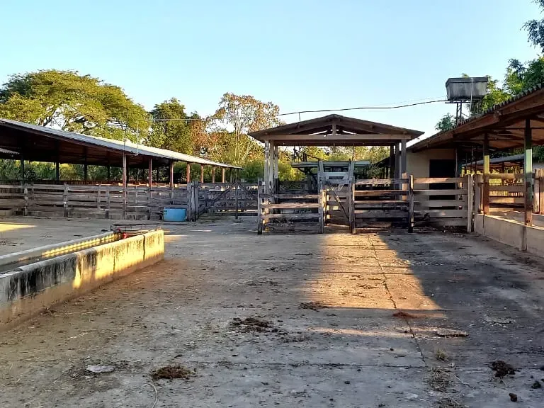 Fazenda em Pará de Minas/Minas Gerais — Ref UO2N10 — Imagem 12