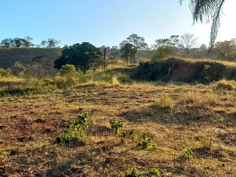 Fazenda em Pará de Minas/Minas Gerais — Ref UO2N10 — Imagem 4