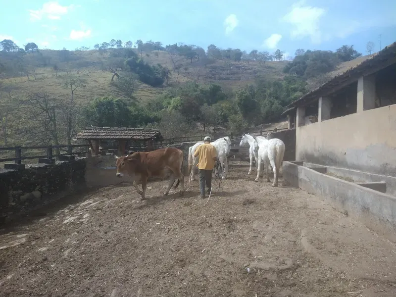 Fazenda em Piracema/Minas Gerais — Ref 62H6PQ — Imagem 42