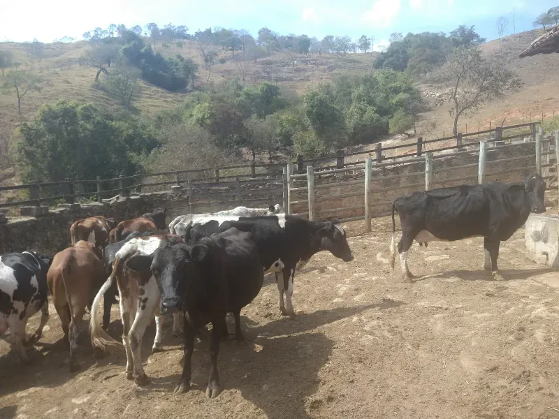 Fazenda em Piracema/Minas Gerais — Ref 62H6PQ — Imagem 43