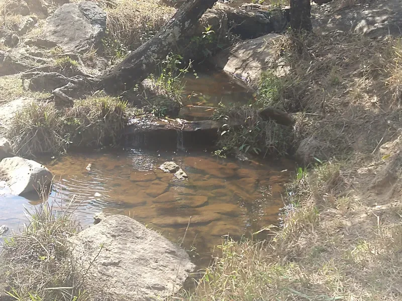 Fazenda em Piracema/Minas Gerais — Ref 62H6PQ — Imagem 8