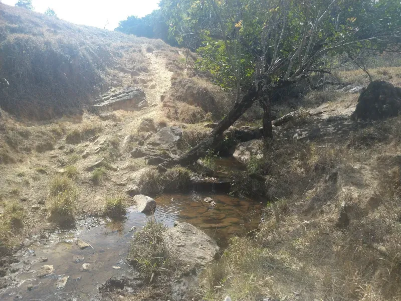 Fazenda em Piracema/Minas Gerais — Ref 62H6PQ — Imagem 4