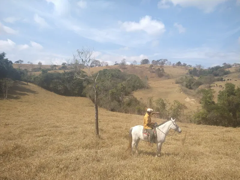 Fazenda em Piracema/Minas Gerais — Ref 62H6PQ — Imagem 9