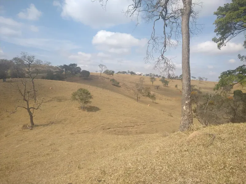 Fazenda em Piracema/Minas Gerais — Ref 62H6PQ — Imagem 10