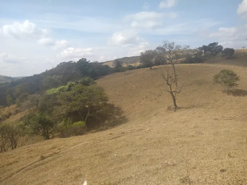 Fazenda em Piracema/Minas Gerais — Ref 62H6PQ — Imagem 11