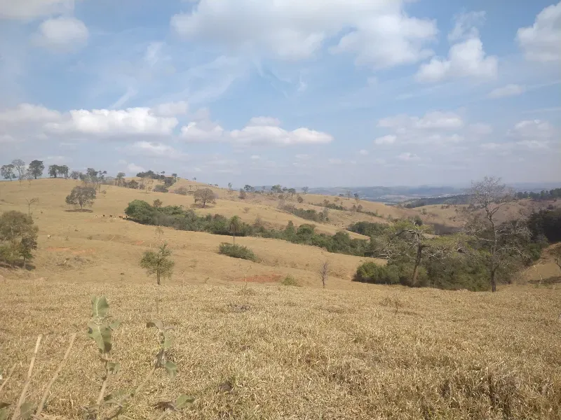Fazenda em Piracema/Minas Gerais — Ref 62H6PQ — Imagem 13
