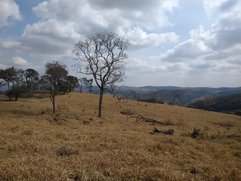 Fazenda em Piracema/Minas Gerais — Ref 62H6PQ — Imagem 17
