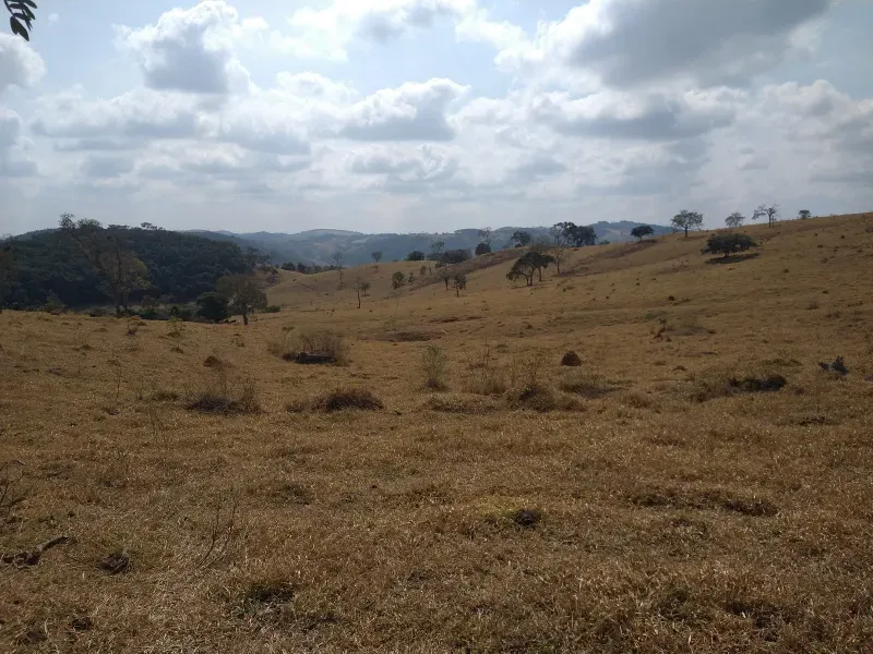 Fazenda em Piracema/Minas Gerais — Ref 62H6PQ — Imagem 18