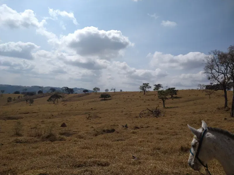 Fazenda em Piracema/Minas Gerais — Ref 62H6PQ — Imagem 20