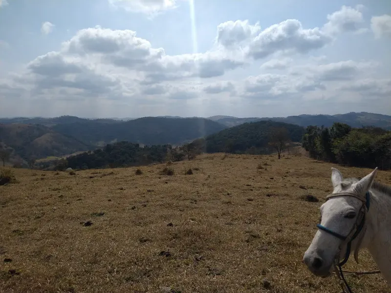 Fazenda em Piracema/Minas Gerais — Ref 62H6PQ — Imagem 26