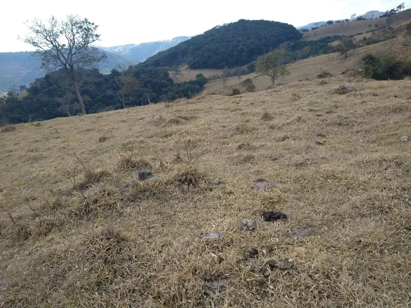 Fazenda em Piracema/Minas Gerais — Ref 62H6PQ — Imagem 27