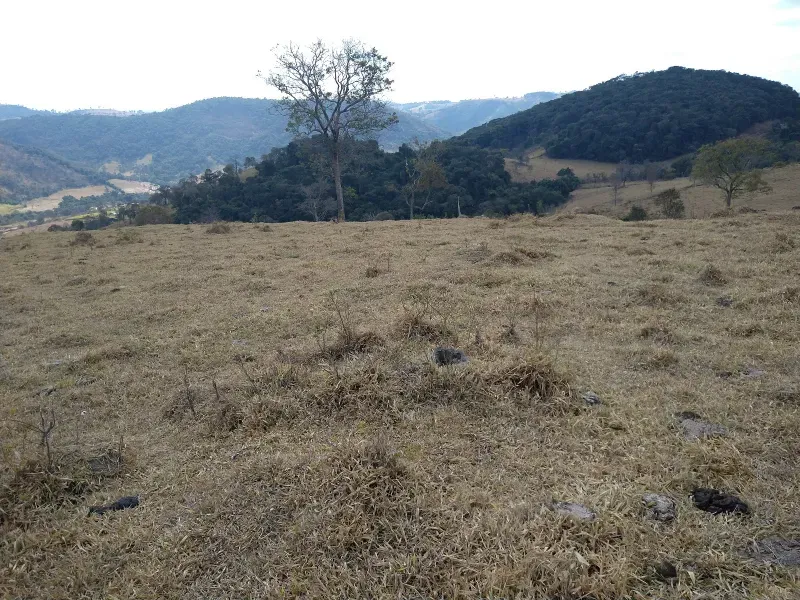 Fazenda em Piracema/Minas Gerais — Ref 62H6PQ — Imagem 28