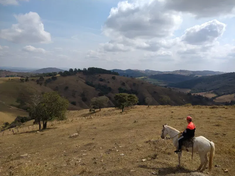 Fazenda em Piracema/Minas Gerais — Ref 62H6PQ — Imagem 3