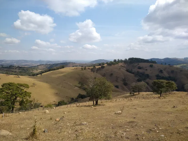 Fazenda em Piracema/Minas Gerais — Ref 62H6PQ — Imagem 2